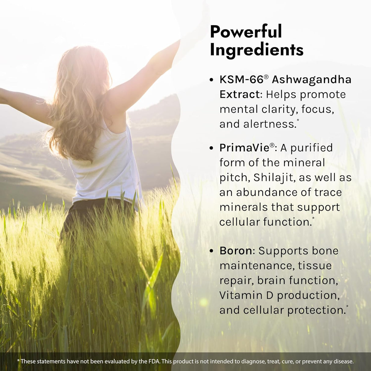 Mezcla Líquida de Ashwagandha, Irwin Naturals, 10 Tubos