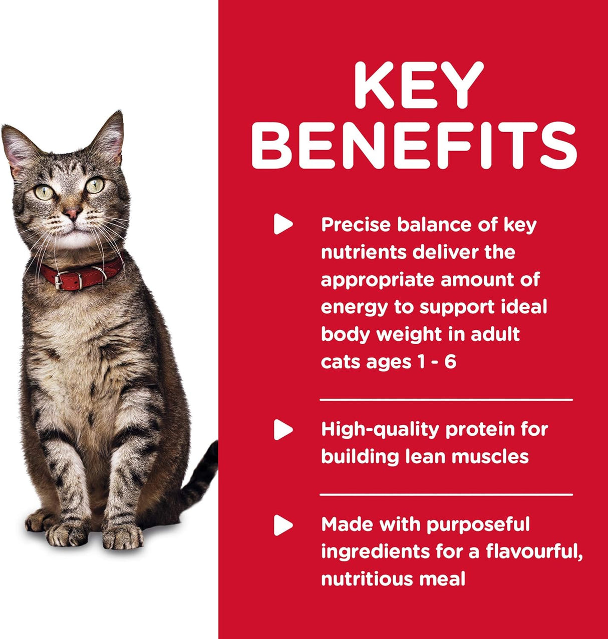 Alimento para gatos adultos con trozos y salsa