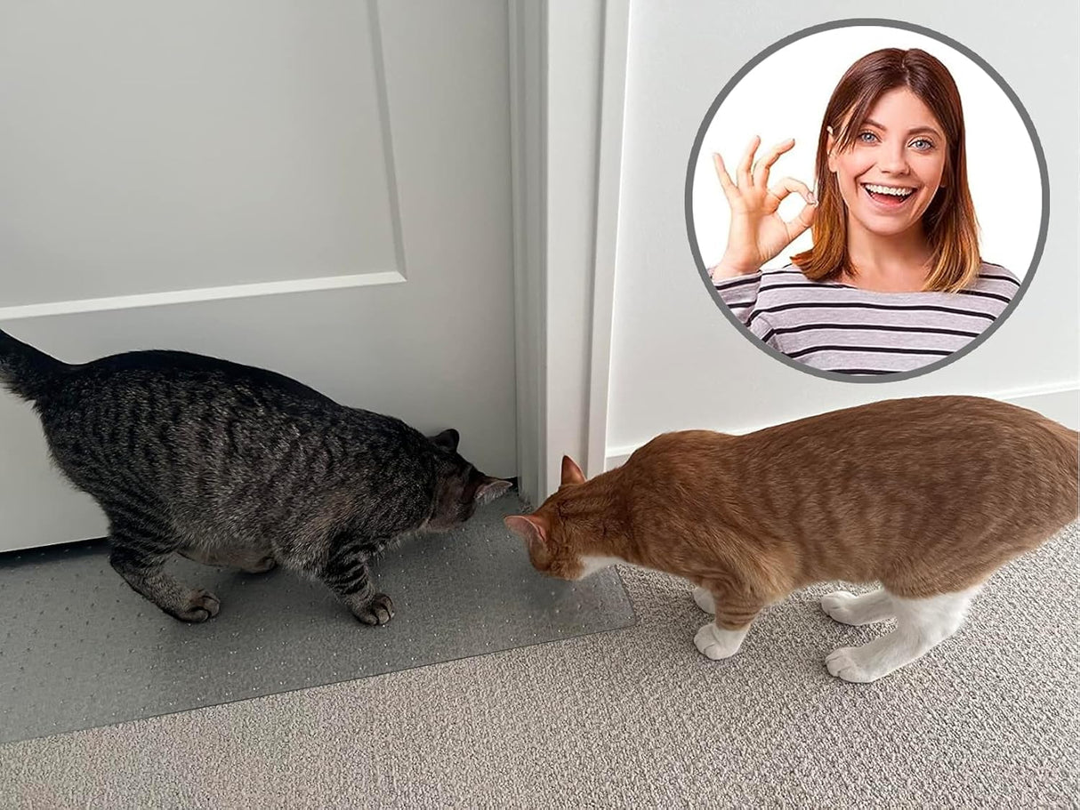 Parador para Arañazos de Gatos - Protector de Alfombras Patentado