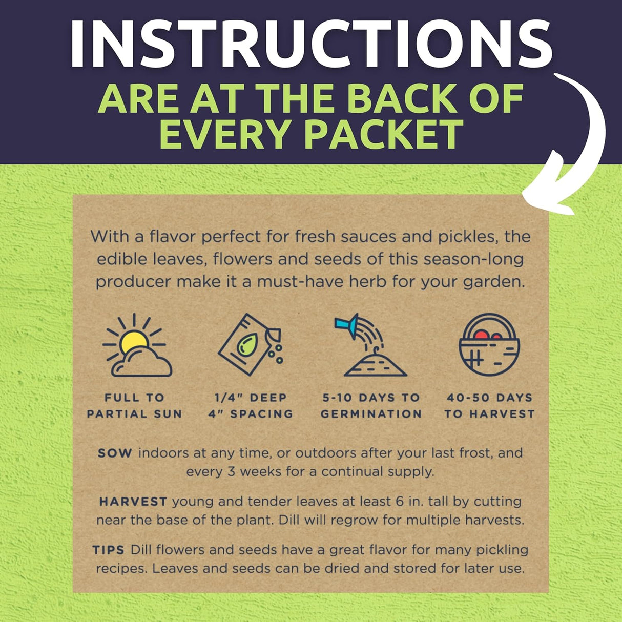 Pack de Semillas de Hierbas Orgánicas - 10 Variedades - 2025