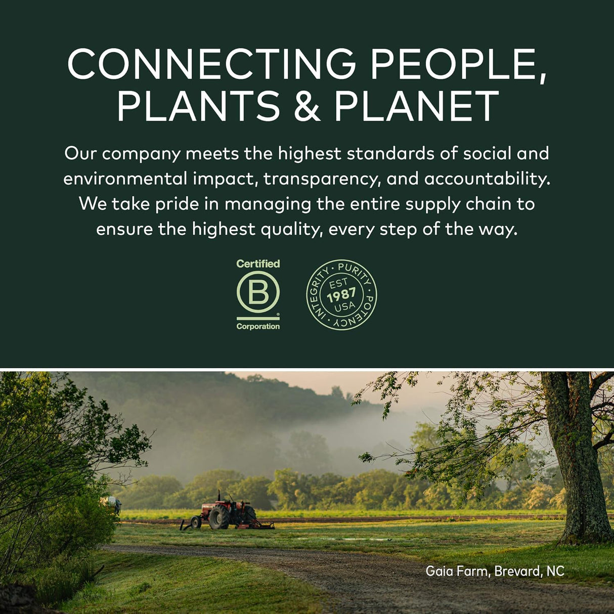 Suplementos Alimenticios Apoyo a la tiroides y bienestar