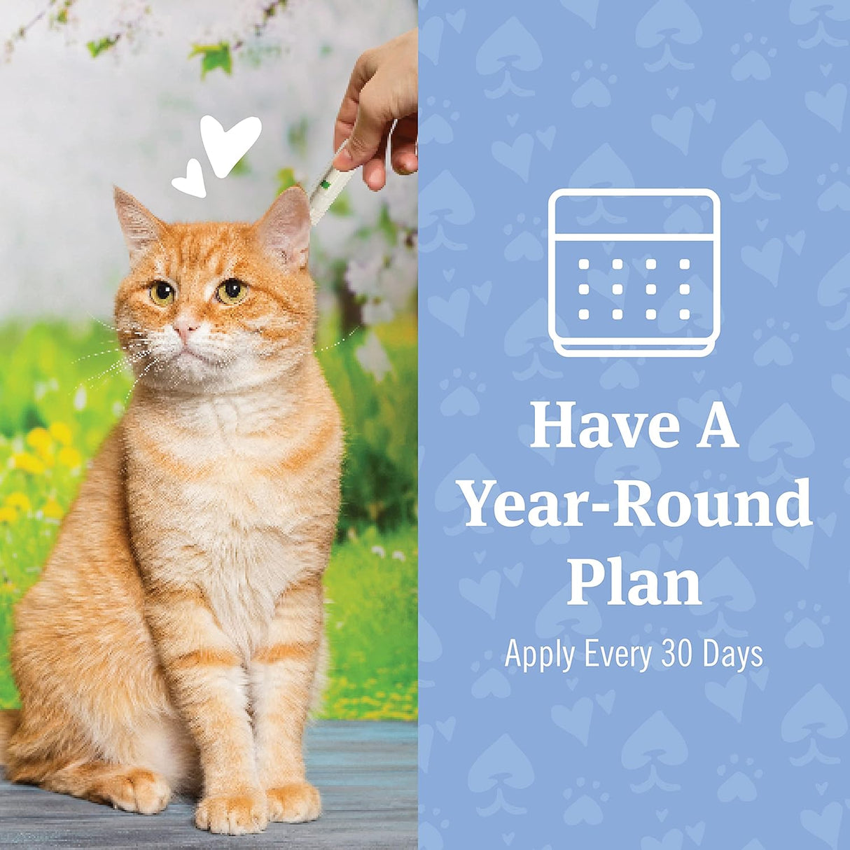 Tratamiento Antipulgas de pulgas y garrapatas para gatos