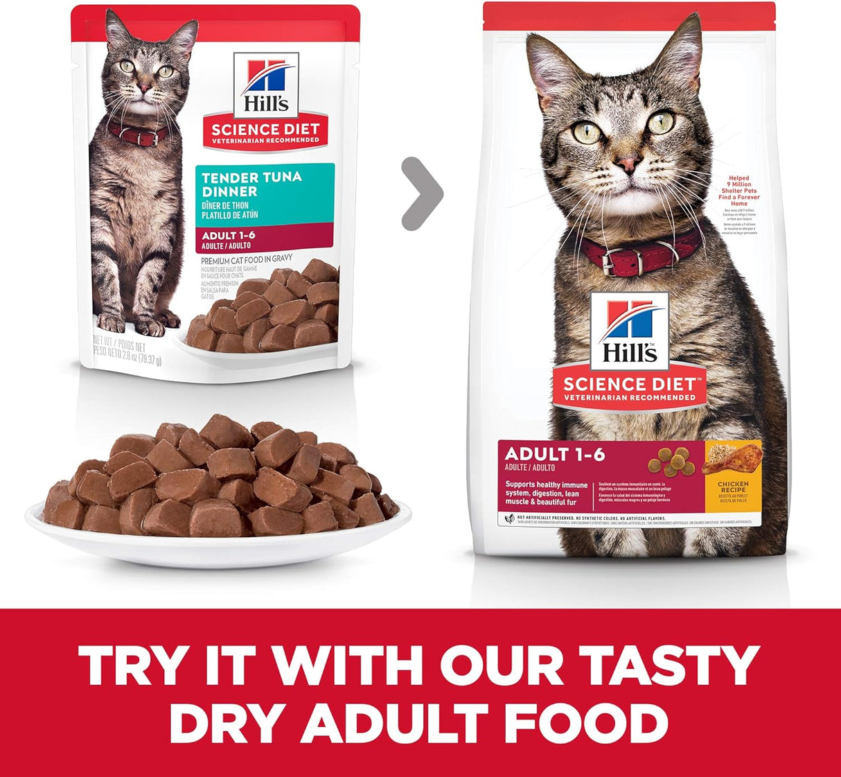 Alimento húmedo para gatos adultos atún paquete de 24