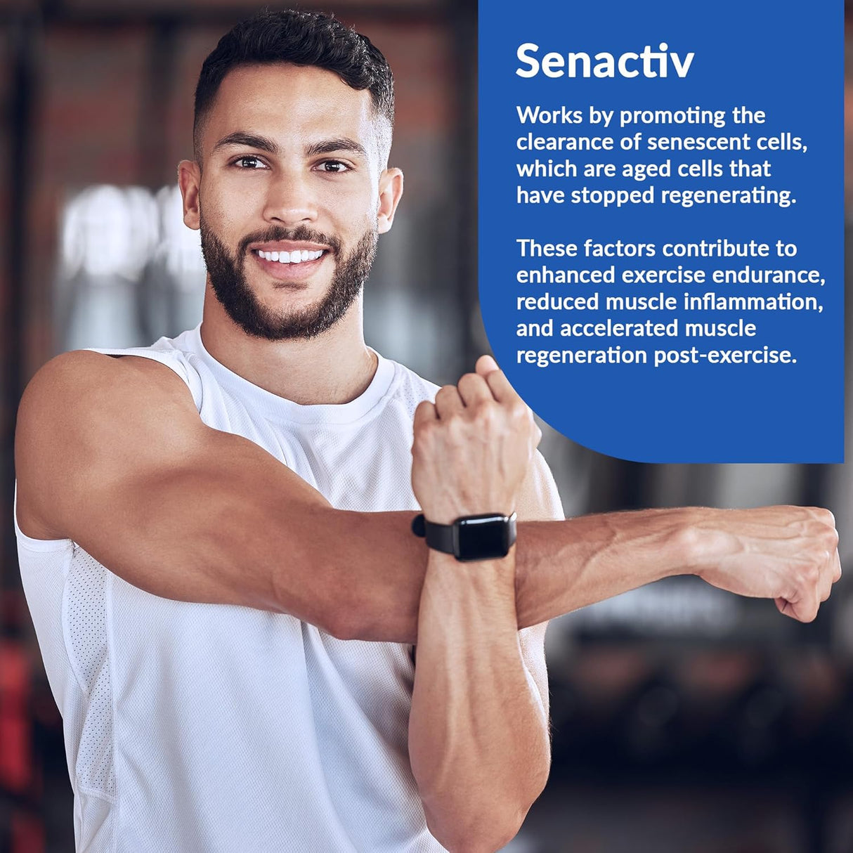 Granite Nutrition Recovery Bebida Intra-Workout EAAs, Dextrin, Sensoril (30)