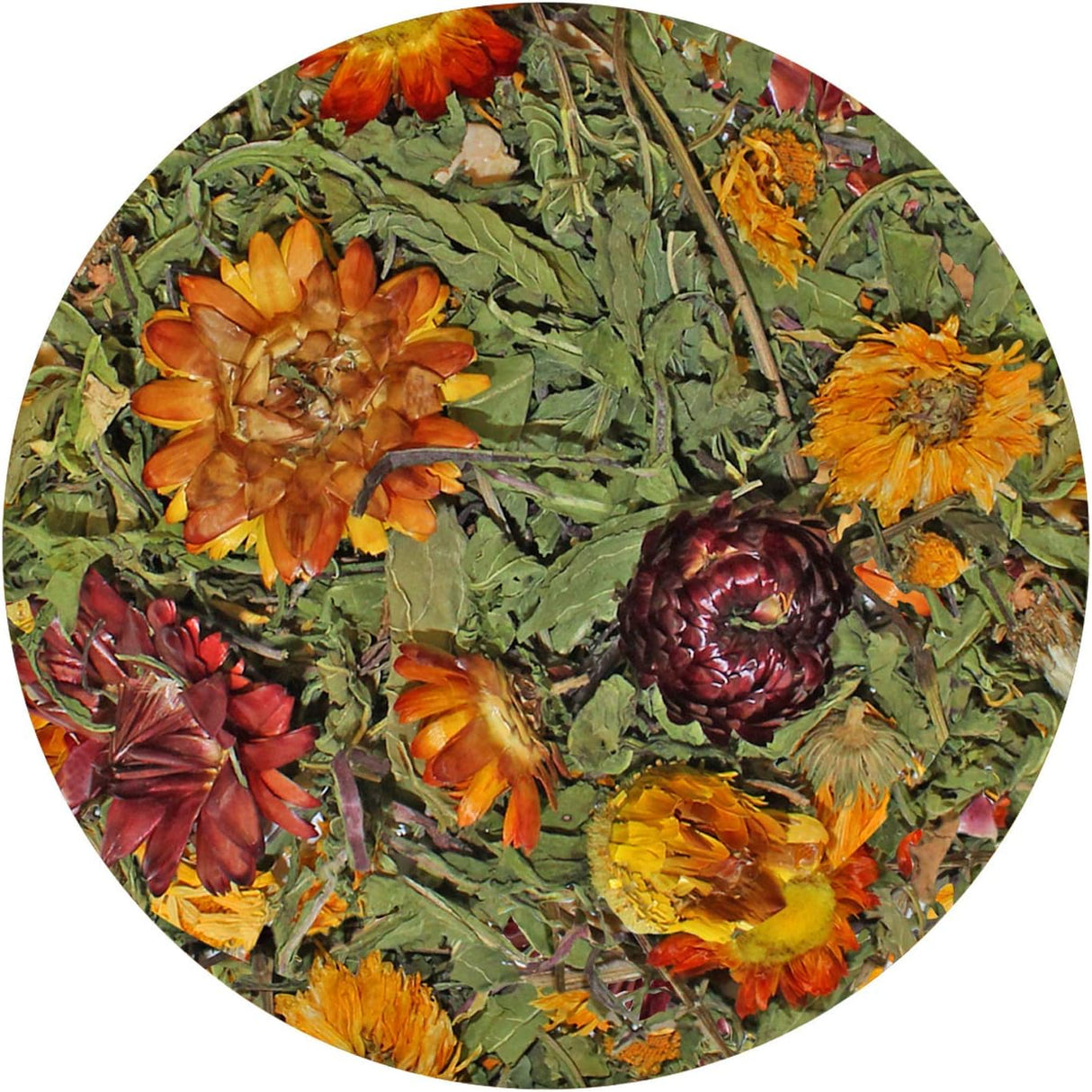 Delicia de Diente de León - Pasture Plus+, Alta Fibra, 100g