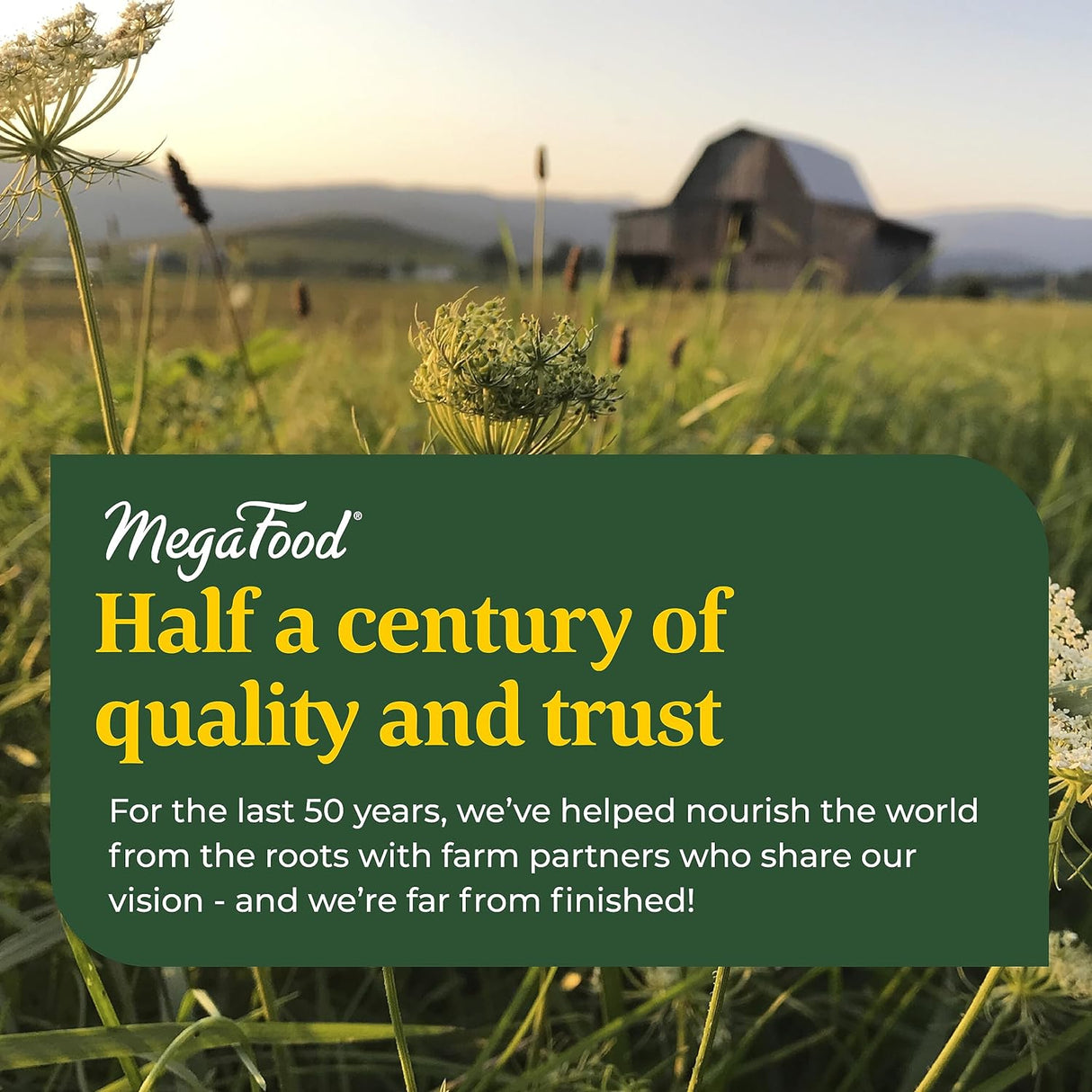 Suplemento MegaFood Relax + Calm - Masticables de magnesio