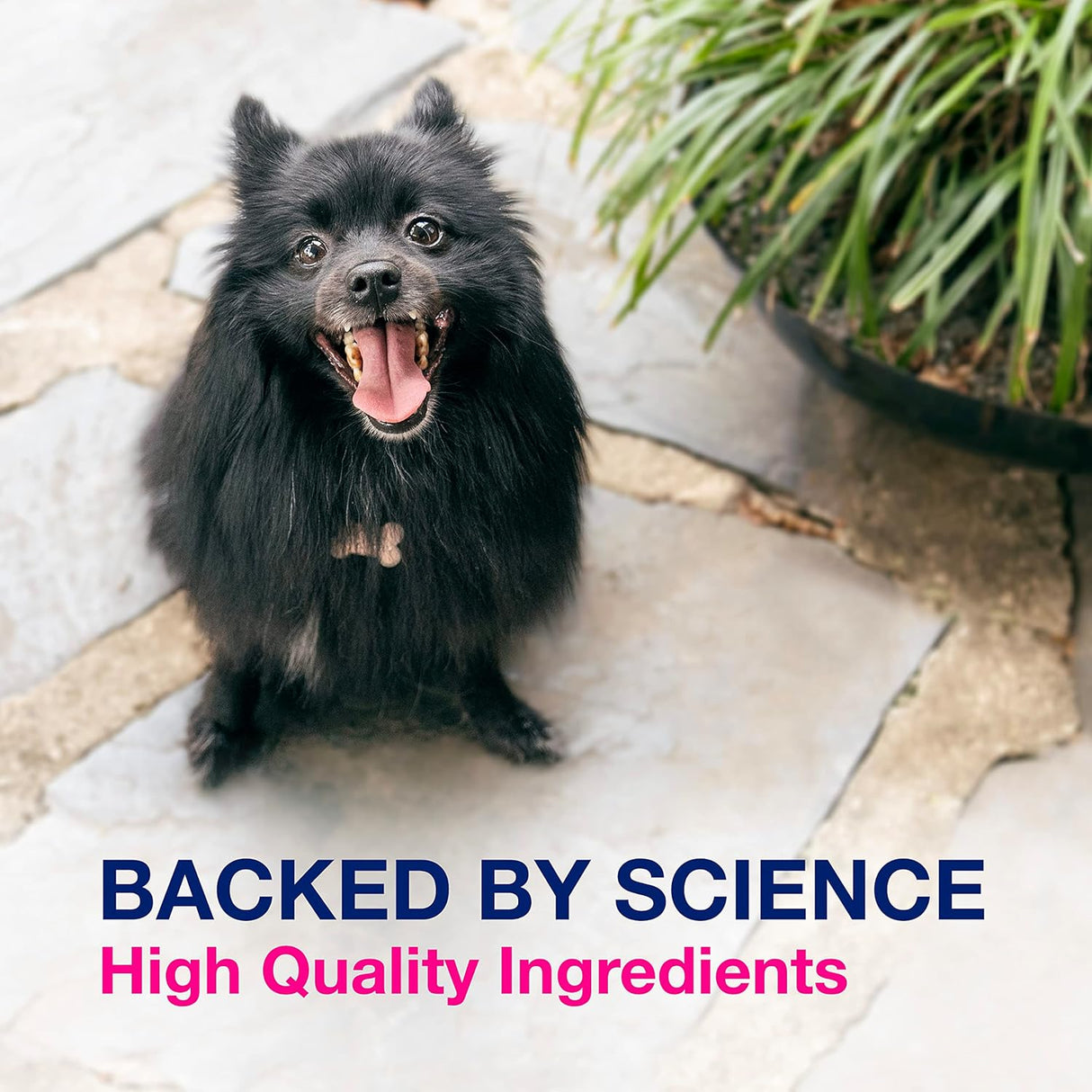 Suplemento de salud digestiva multicepa probióticos