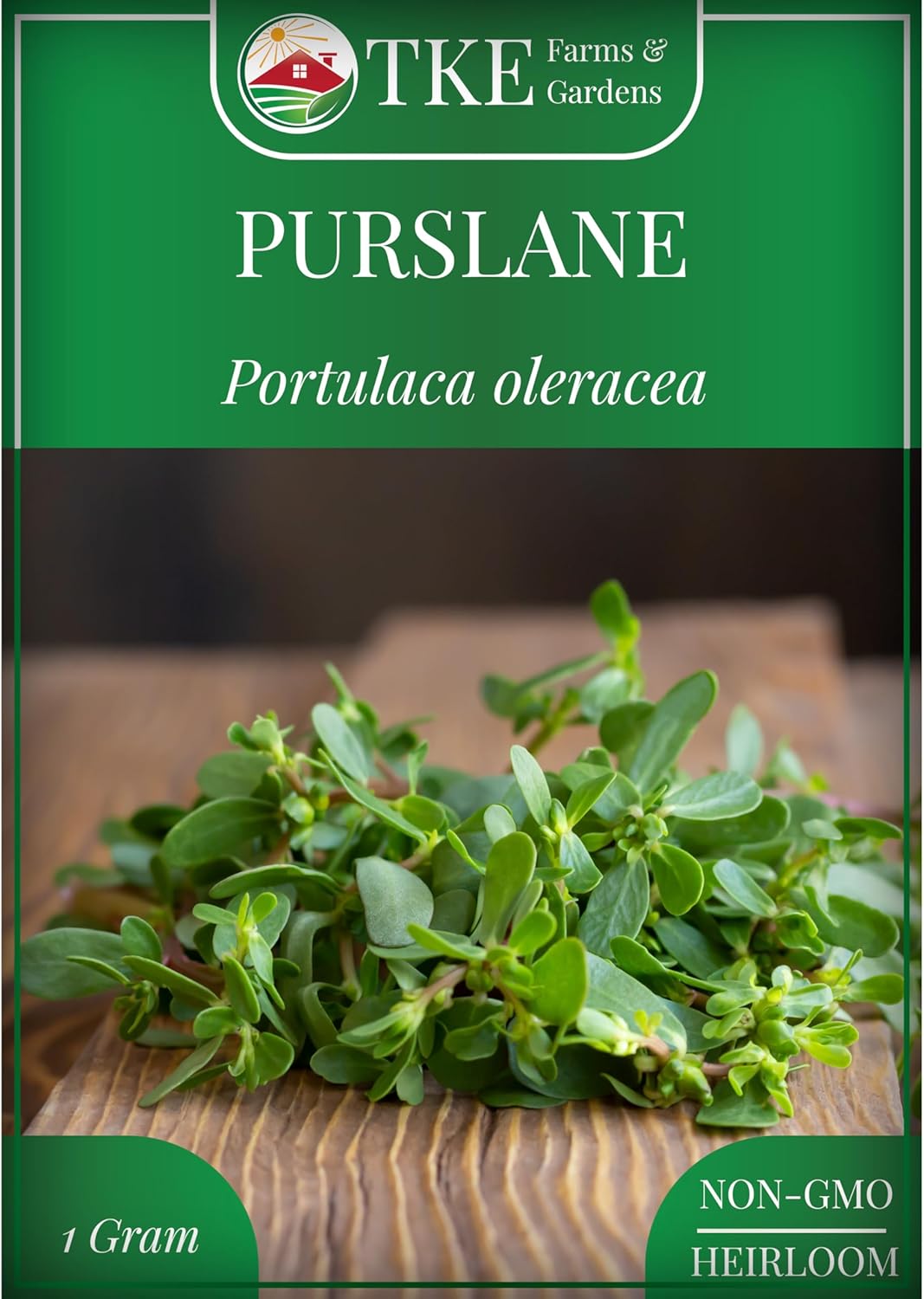 Semillas de Purslane - TKE Farms, 2000+ Semillas No GMO