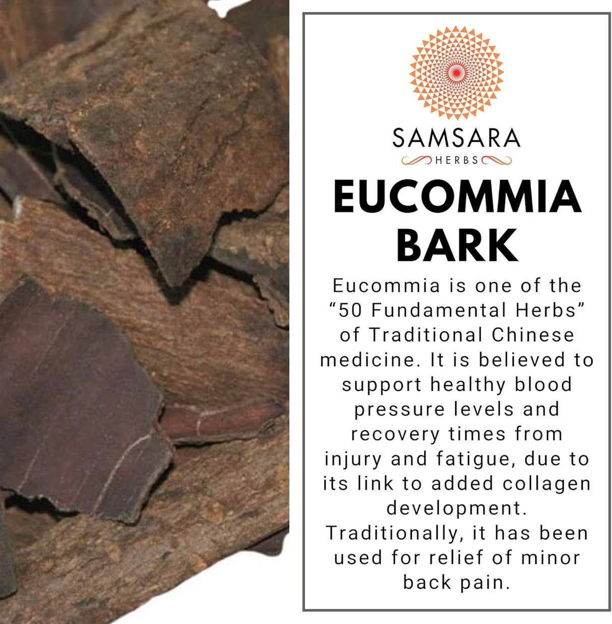 fibra original Eucommia extracto concentrado