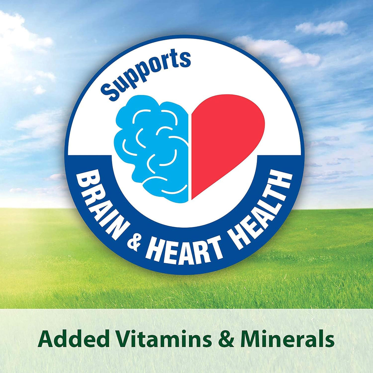 Alimento para pájaros para mascotas 4.5 libras Kaytee