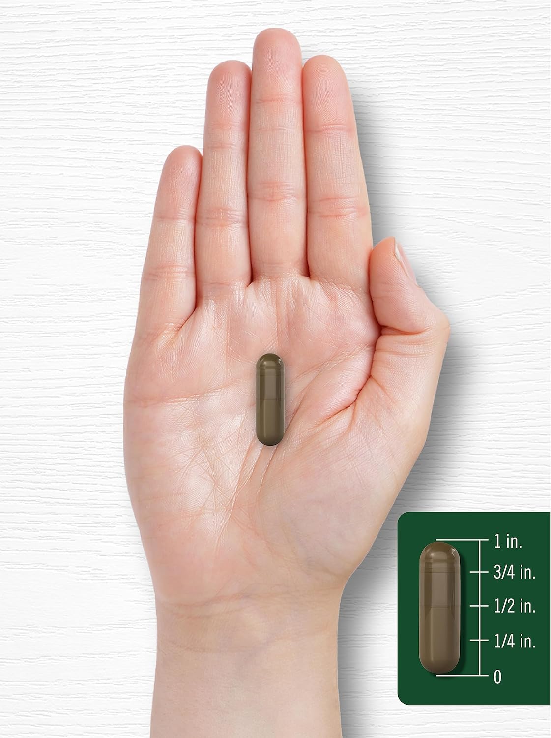 Carlyle Schisandra Suplemento 1160 mg | 200 cápsulas