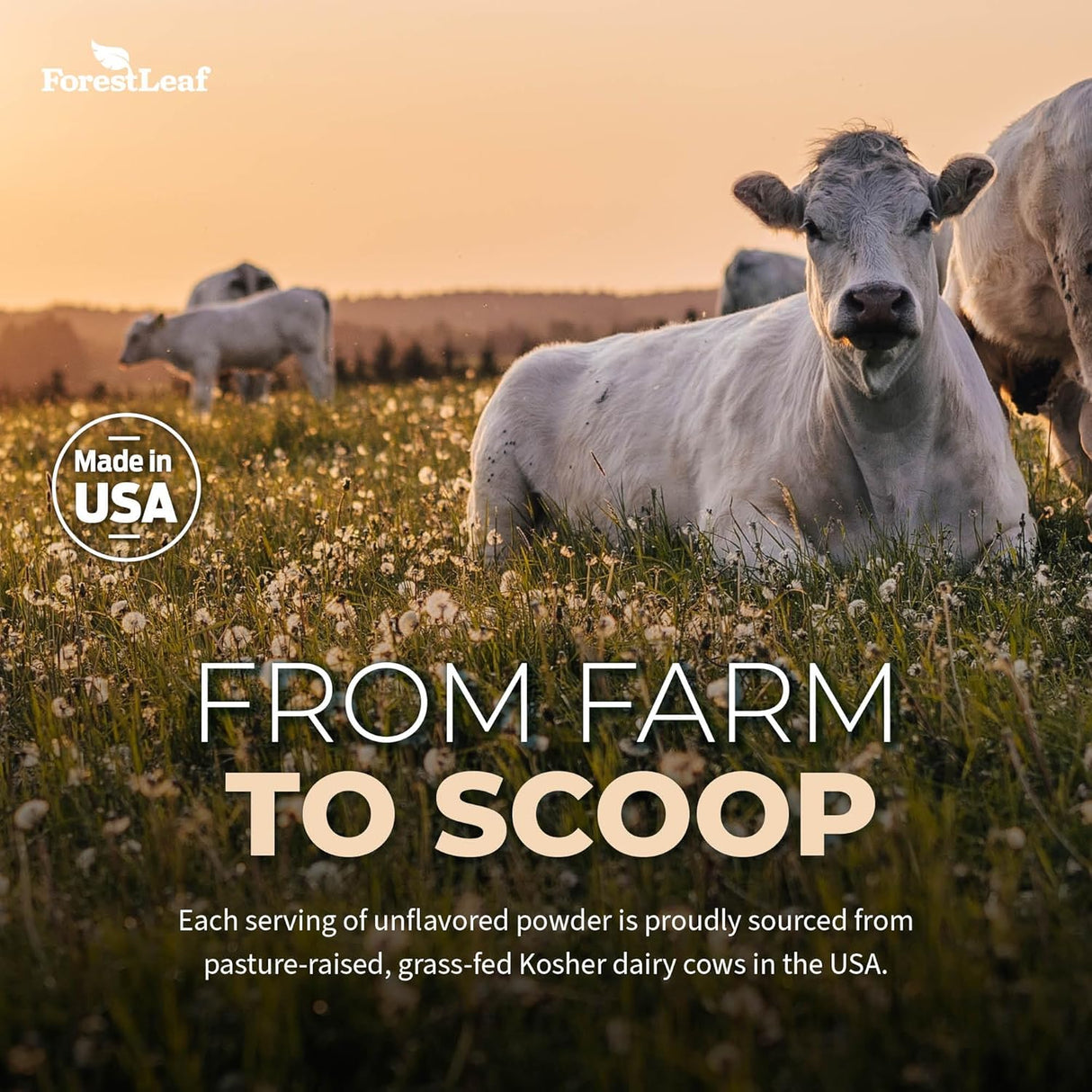 Suplemento de Colostro ForestLeaf 50% IgG, 45 Porciones