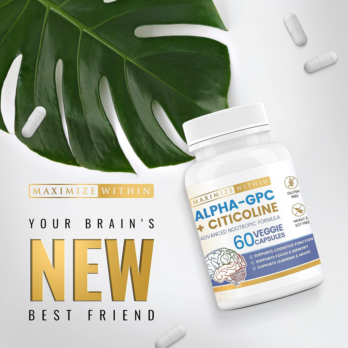 Alpha GPC + Citicolina 1600mg Mejora Cognitiva, Memoria y Energía