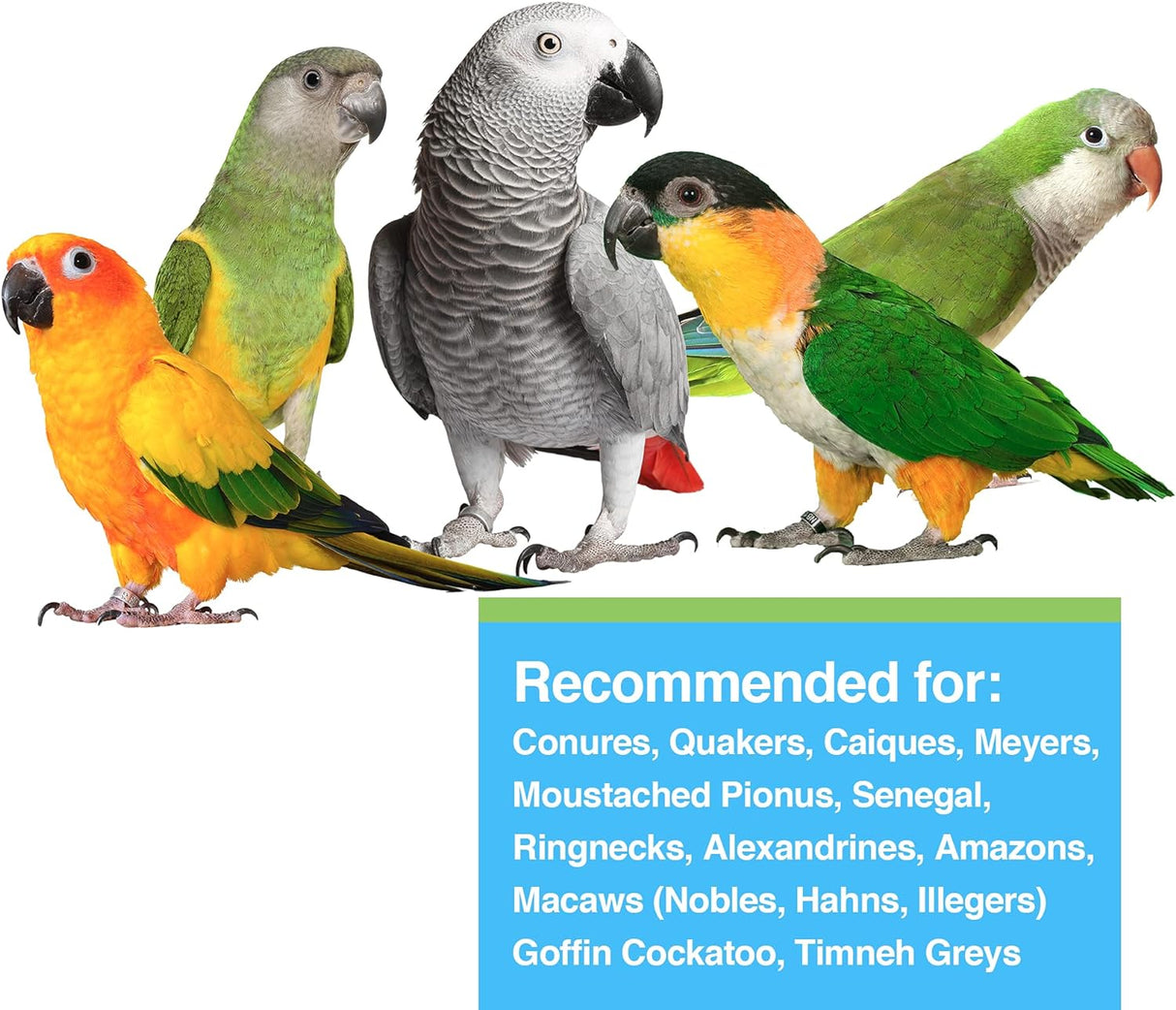 Hari Hagen Tropimix Alimento enriquecedor para loros