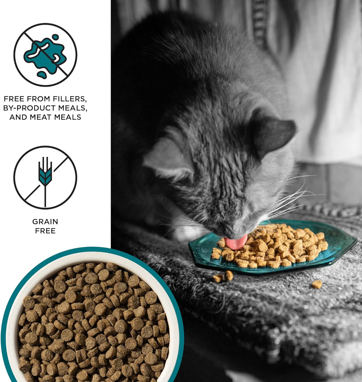 BIXBI Liberty Dry Food Receta de pollo y salmón para gatos de interior, 3 libras