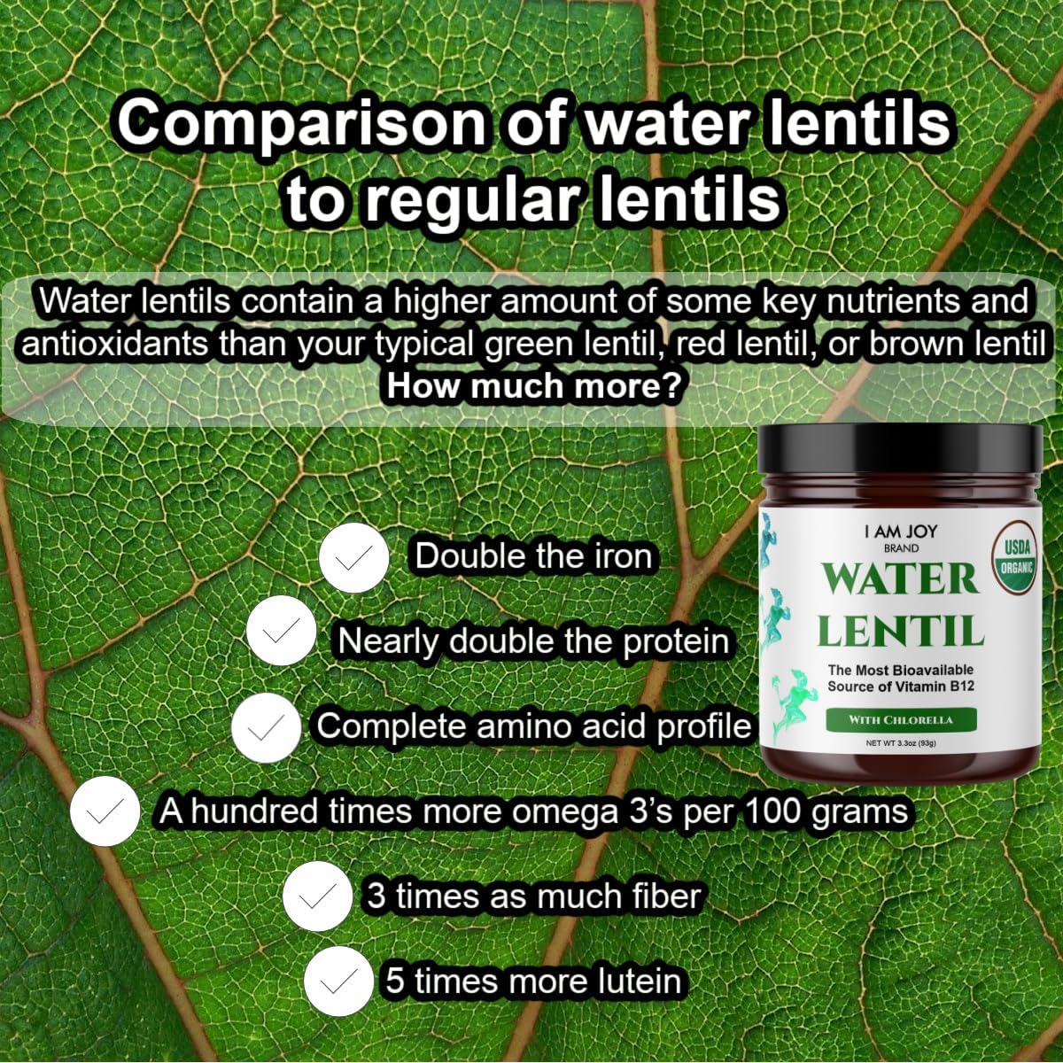 Polvo de proteína de lentejas de agua de vitamina B12