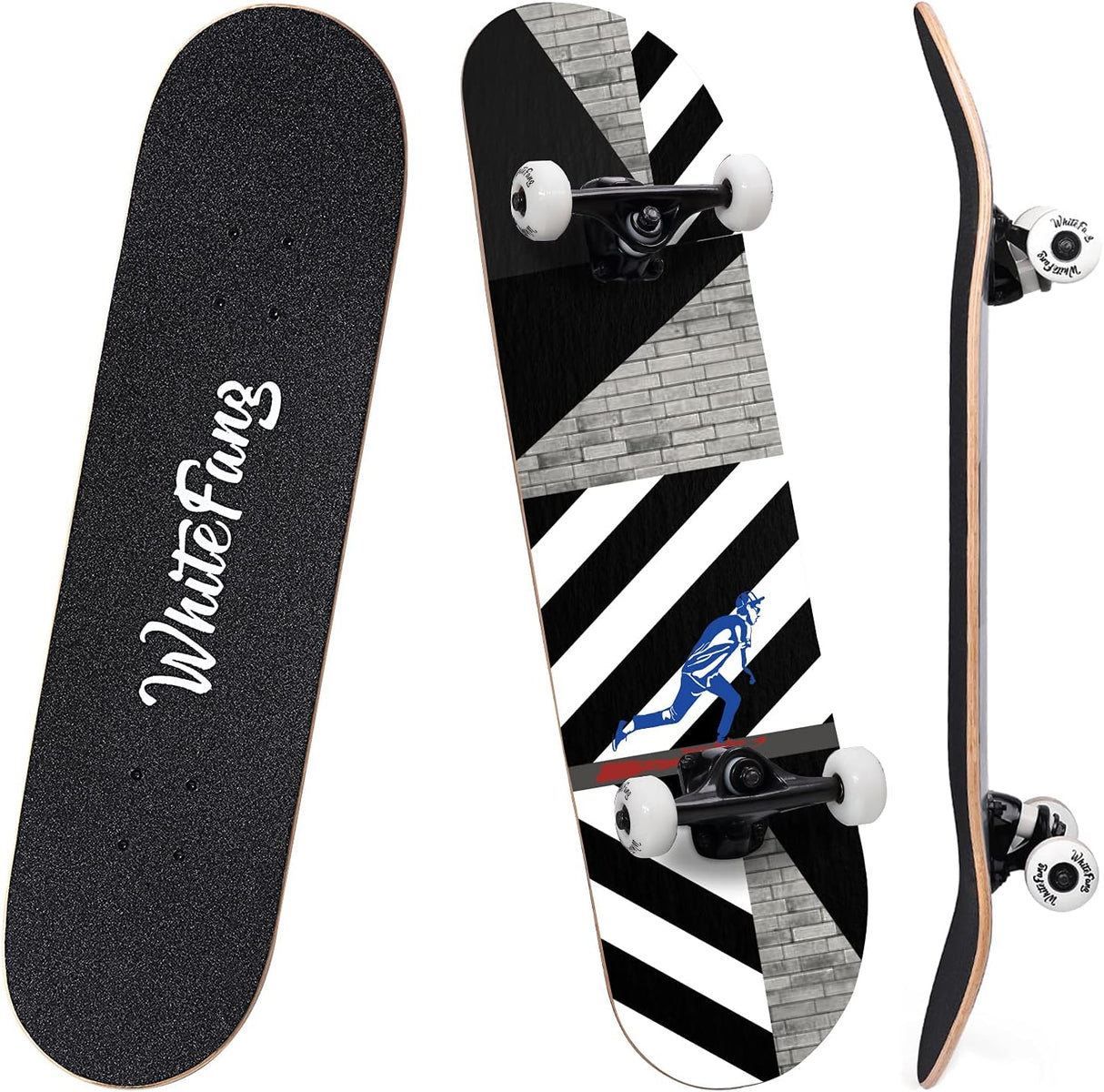 Patineta Completa 31 x 7.88, 7 Capas de Arce, Doble Kick