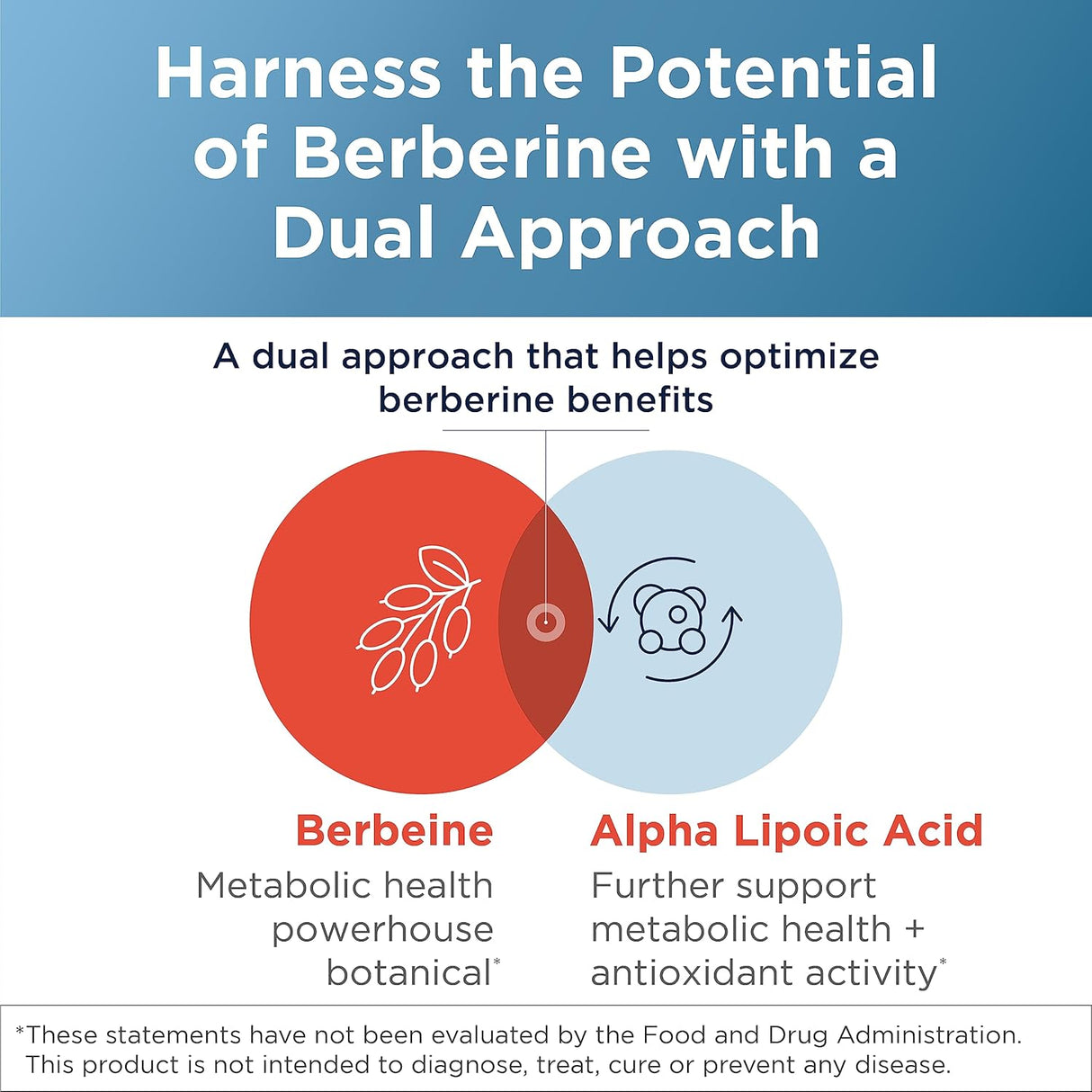 Suplemento Berberine Synergy Berberina HCL 400 mg 60 cáp