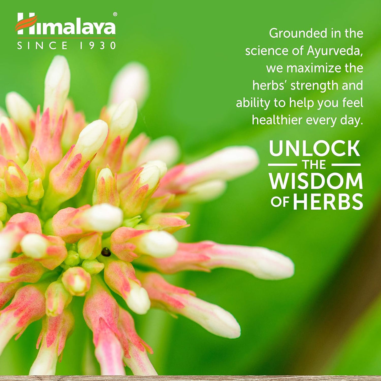 Psyllium Husk Orgánico Himalaya, Suplemento de Fibra, 12 Oz