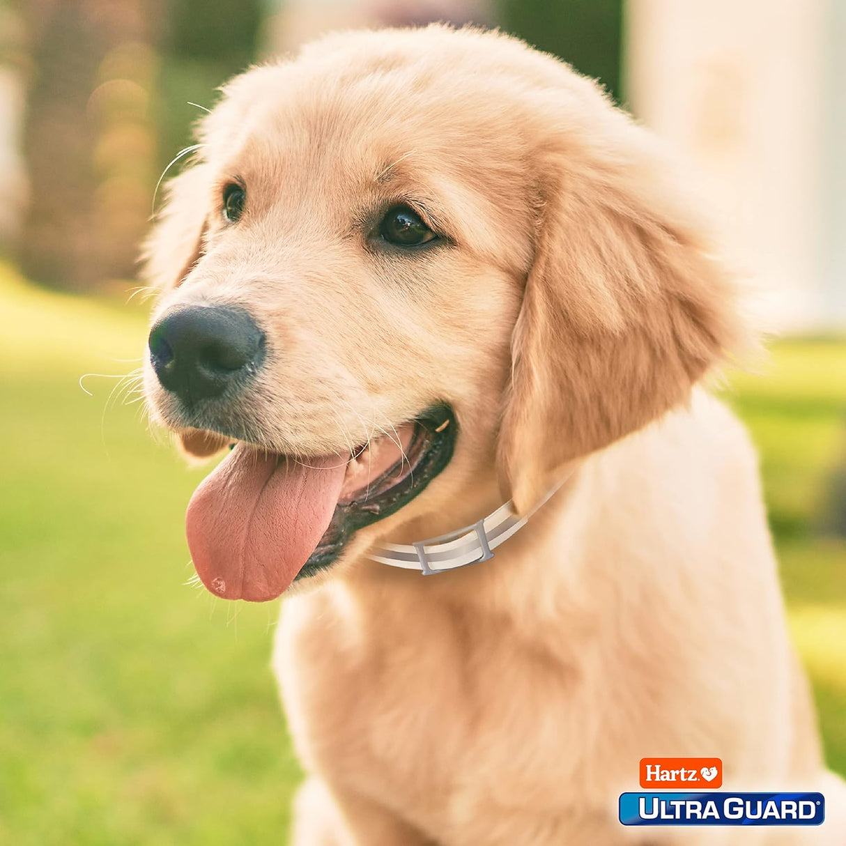 Collar reflectante para pulgas y garrapatas para perros