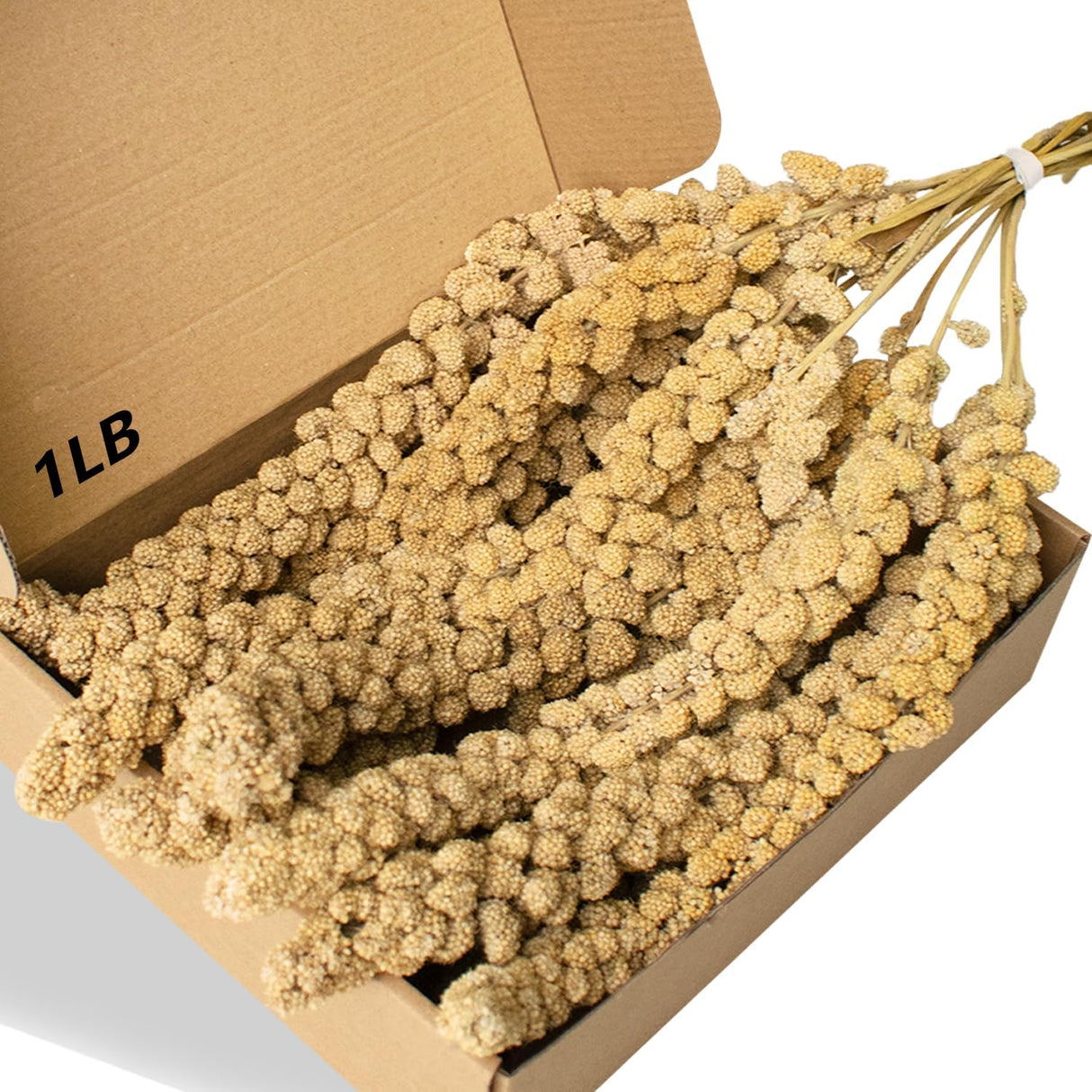 Jmxu's 1 libra de mijo en aerosol para pájaros