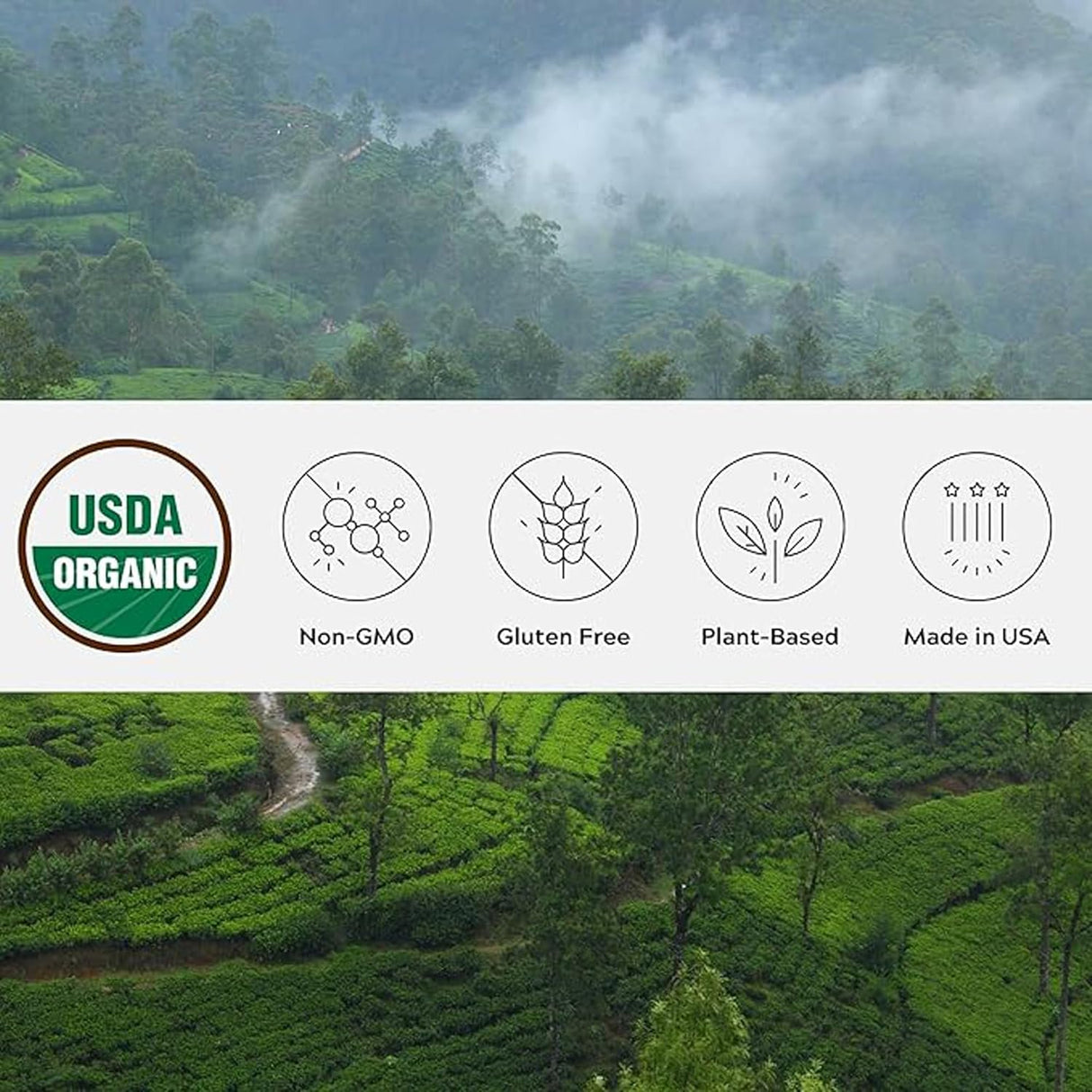 Canela Ceylán Orgánica, Premium de Sri Lanka, Sin OGM, 100g