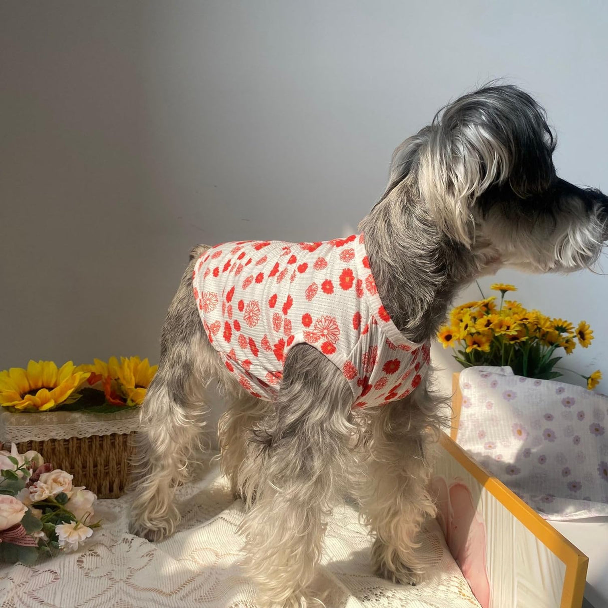 Camiseta de Verano para Mascotas Estampado de Margarita