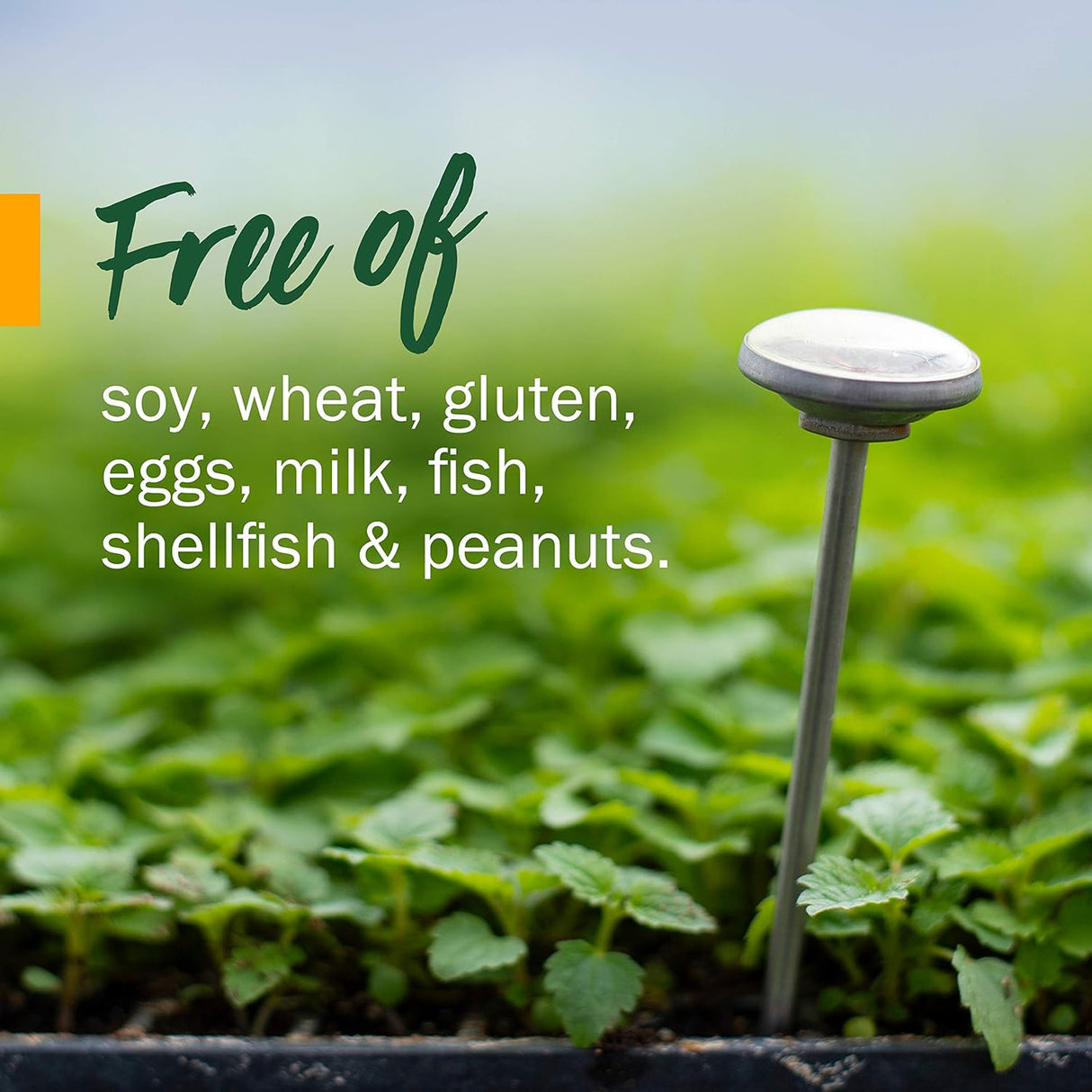 Suplemento herbaria líquida de fortificante inmune 1 onza