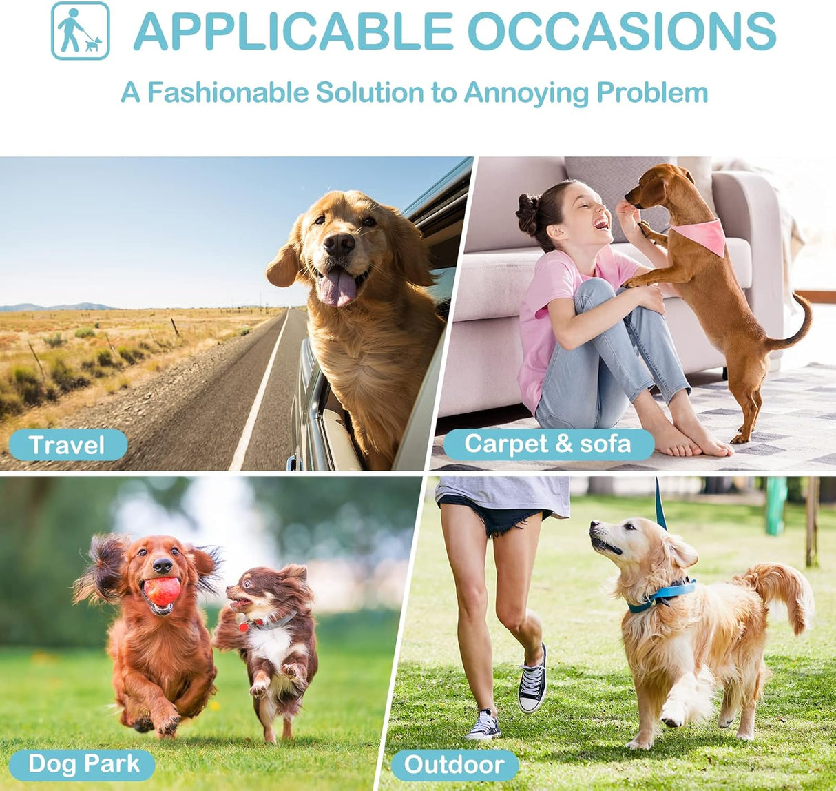 Avont Paquete 3 pañales lavables perras vestido de pañales