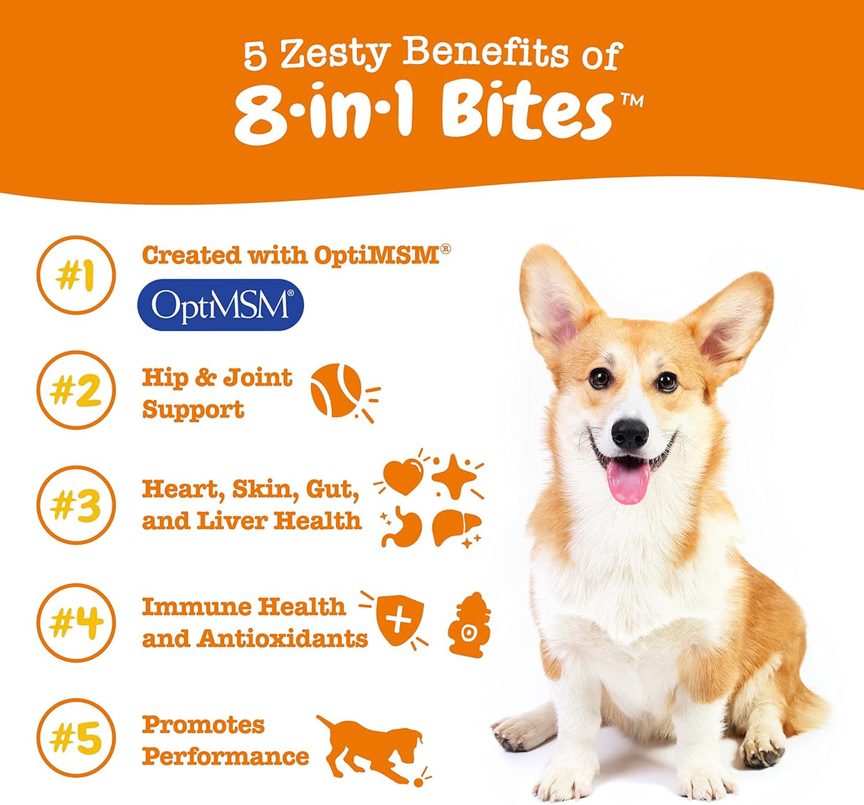 Vitaminas para perros para cadera y articulaciones