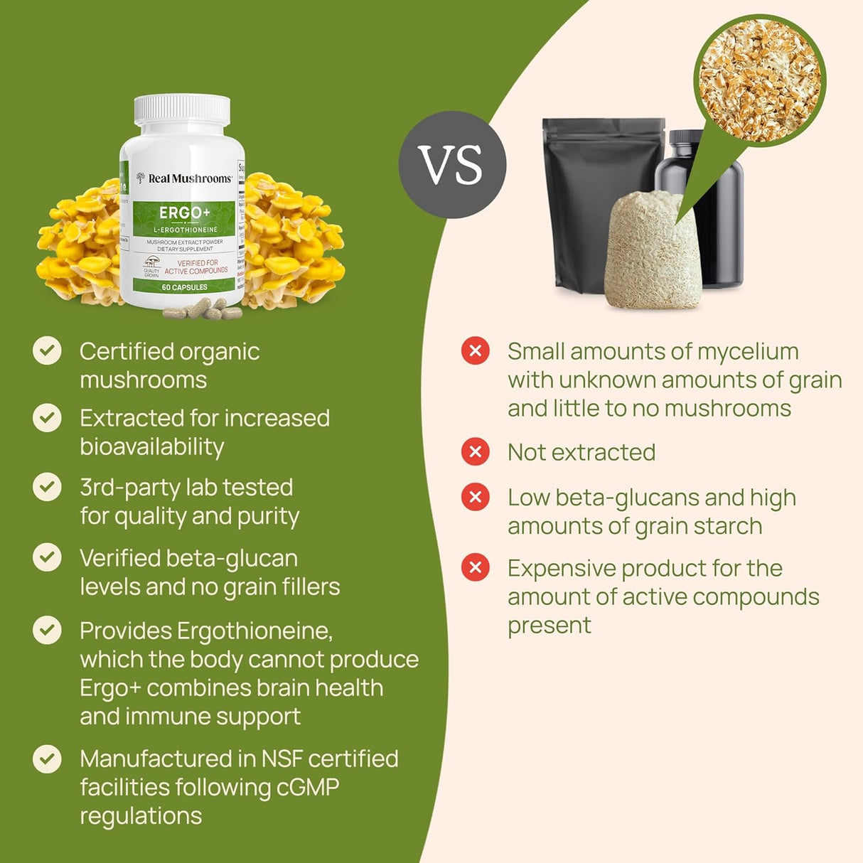 Extracto de Hongo Shiitake y Ostra con L-ergotioneína