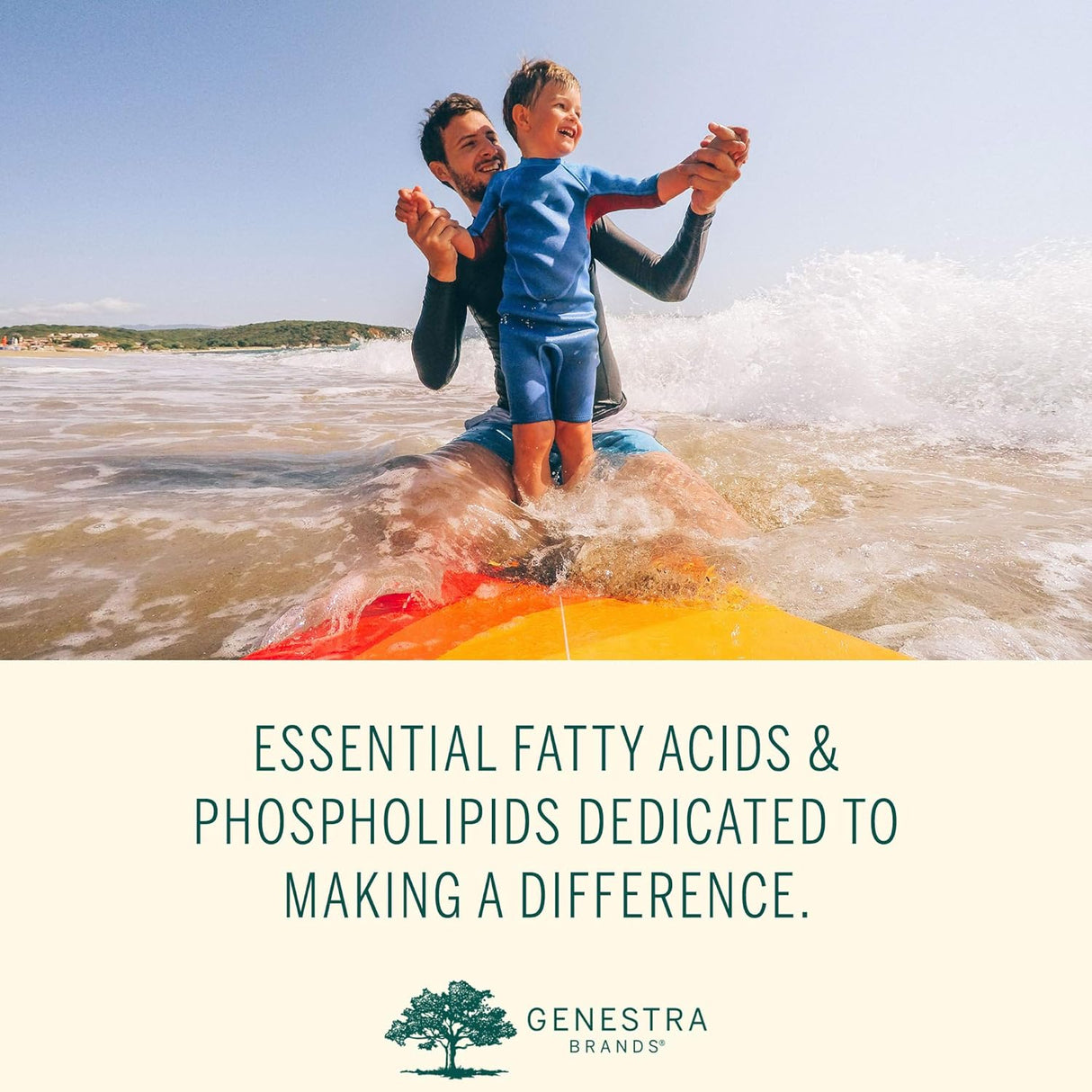 Suplementos Alimenticios Apoya la salud articular