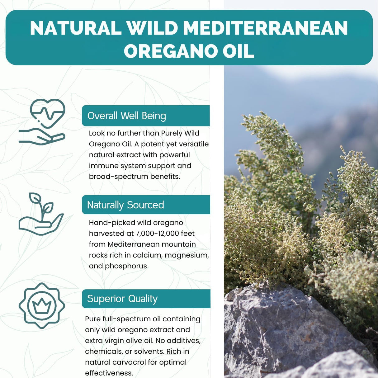 Gelcaps de Orégano Puro Wild Dr. Cass Ingram 90 cápsulas
