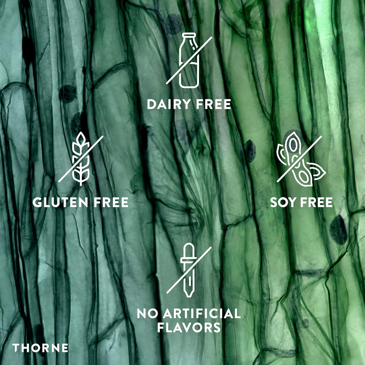 Soporte de aminoácidos para relajación desintoxicación