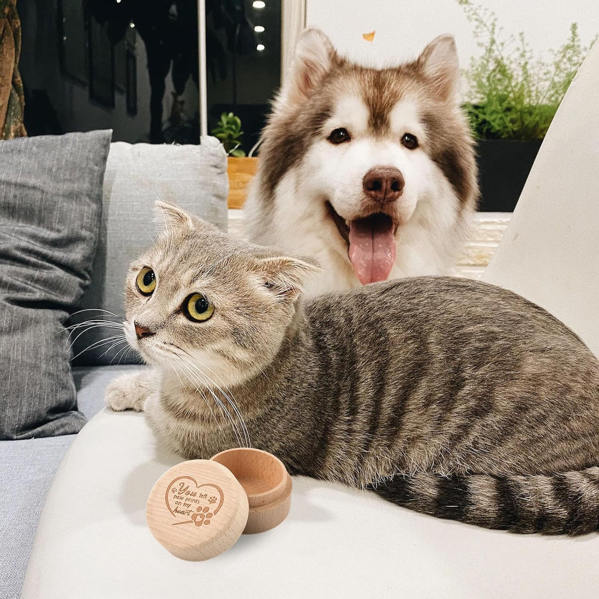 Caja de Recuerdos para Mascotas, Memoria de Madera, Corazón