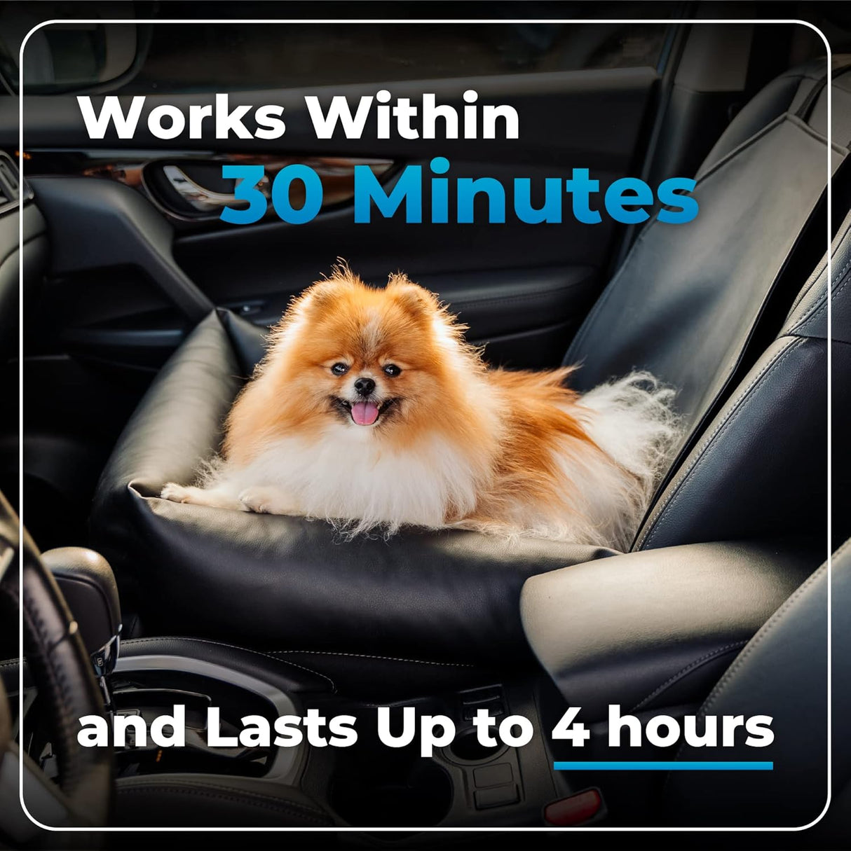 Solucion masticables VETRISCIENCE para gatos sabor pollo