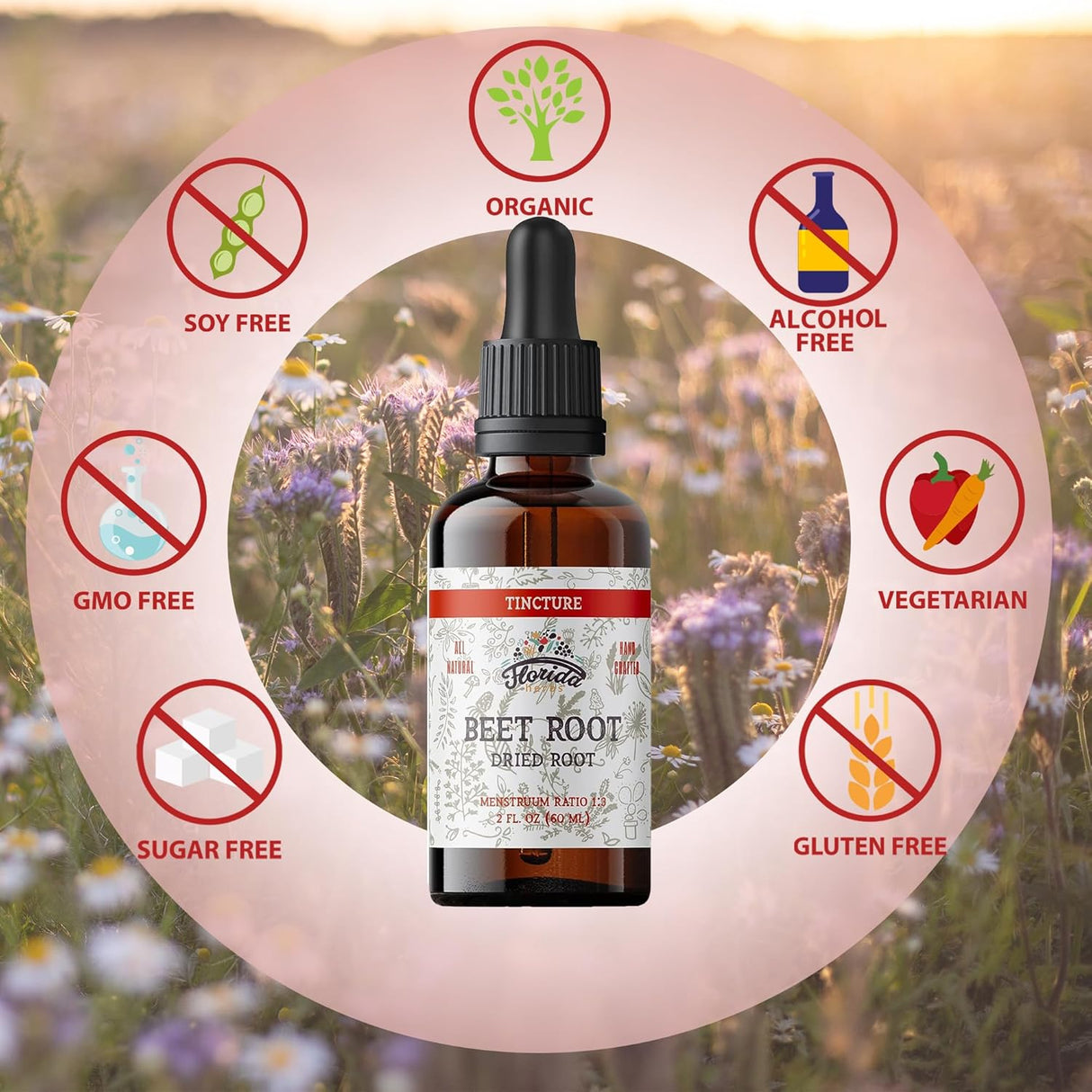 Suplemento Suplemento de raíz de remolacha líquida 2 oz