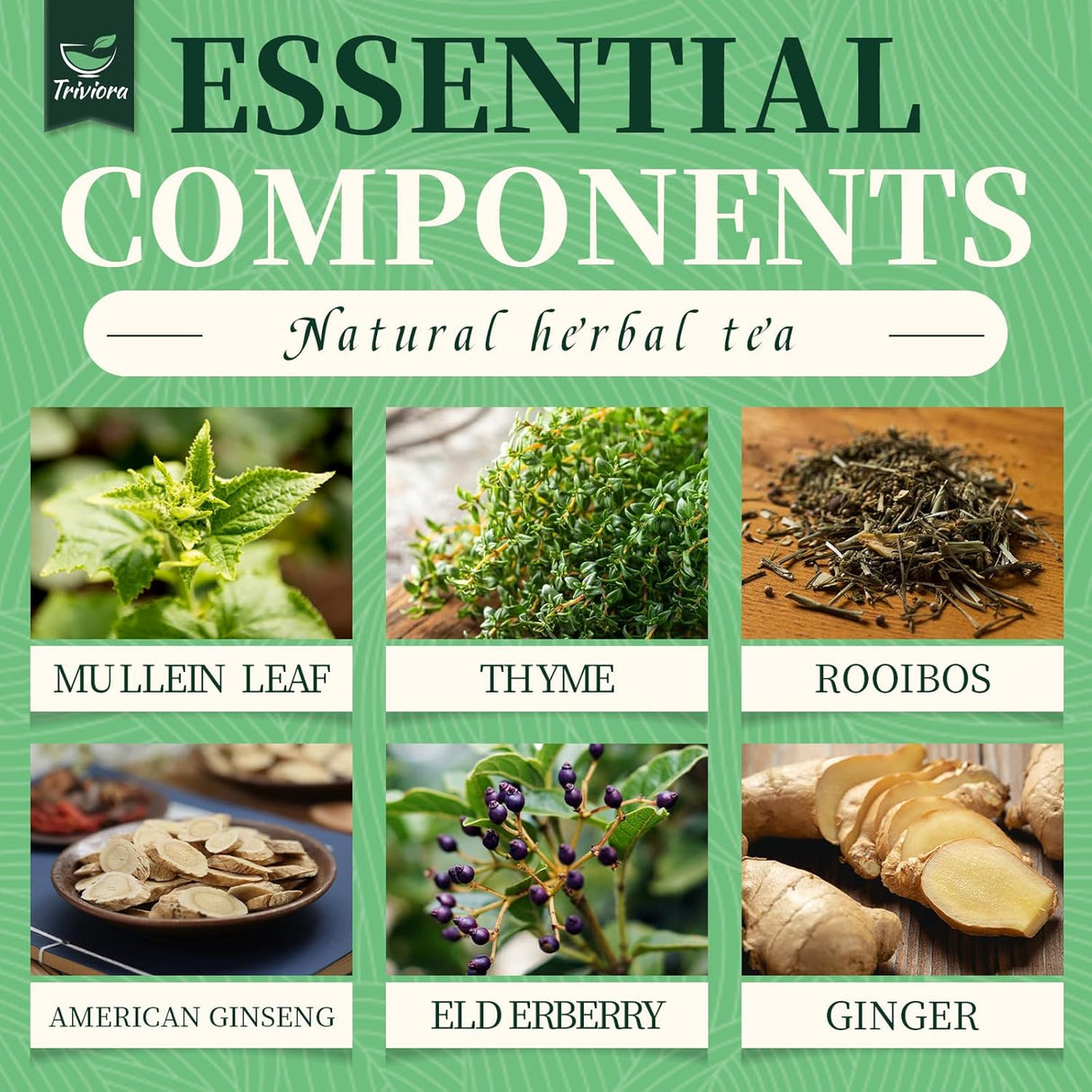 Té Detox de Pulmón, Mullein, 15 bolsitas, Alivio Congestión