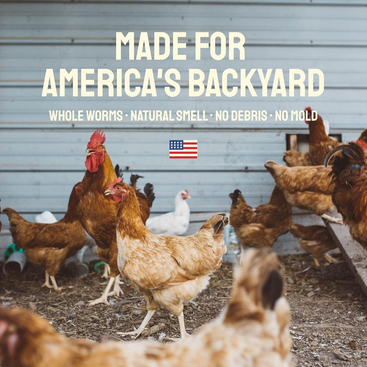 10 libras a granel de gusanos de harina secos sin OMG