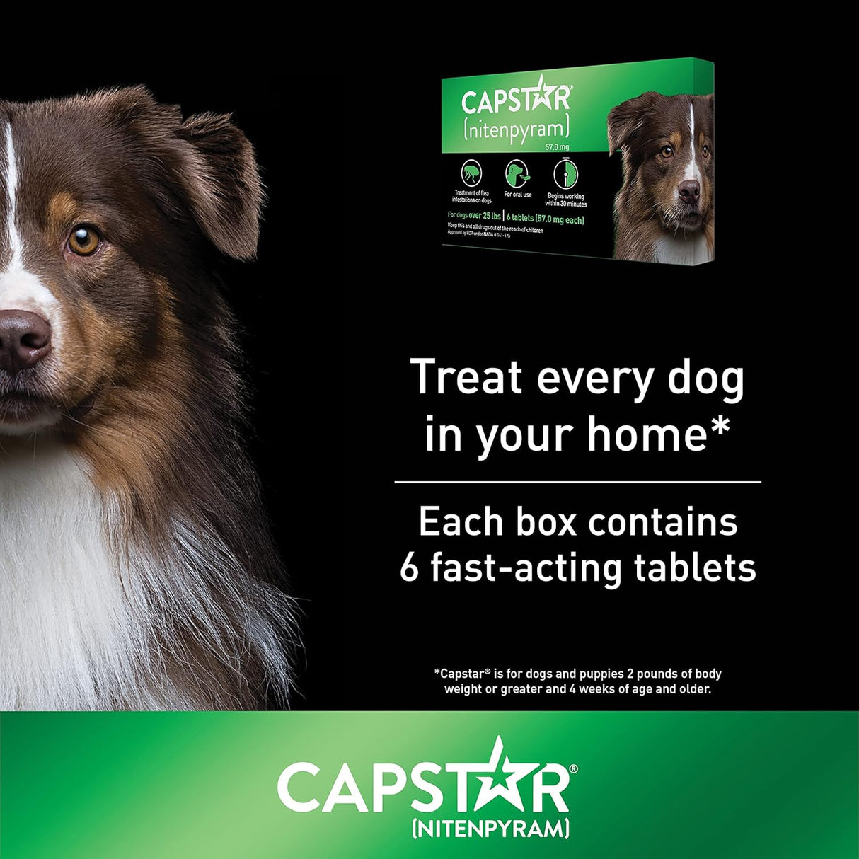 Antipulgas Capstar Verde para perros de más de 25 libras
