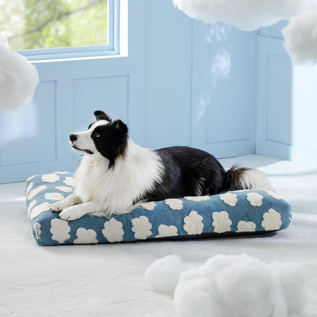 Cama para perros de espuma triturada gruesa para perros azul
