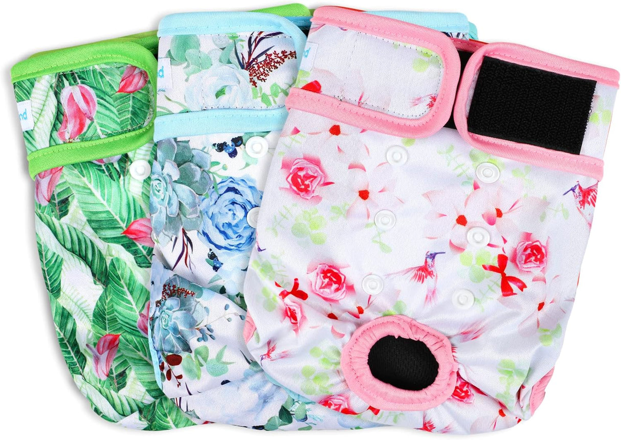 Paw Legend - Pañales reutilizables perro , 3 unidades