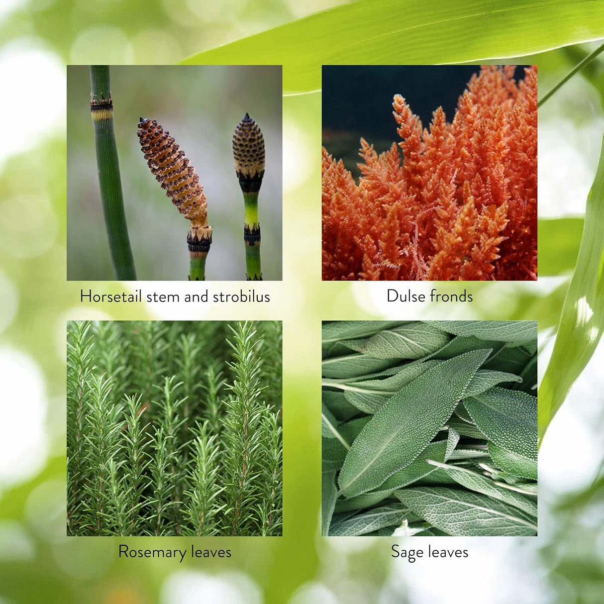 Cápsulas HSN-W para la Salud del Cabello, Piel y Uñas