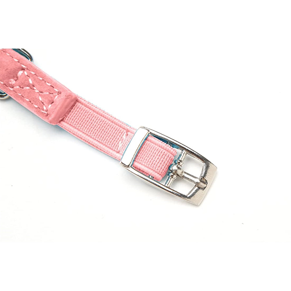 Collar ajustable para gatos