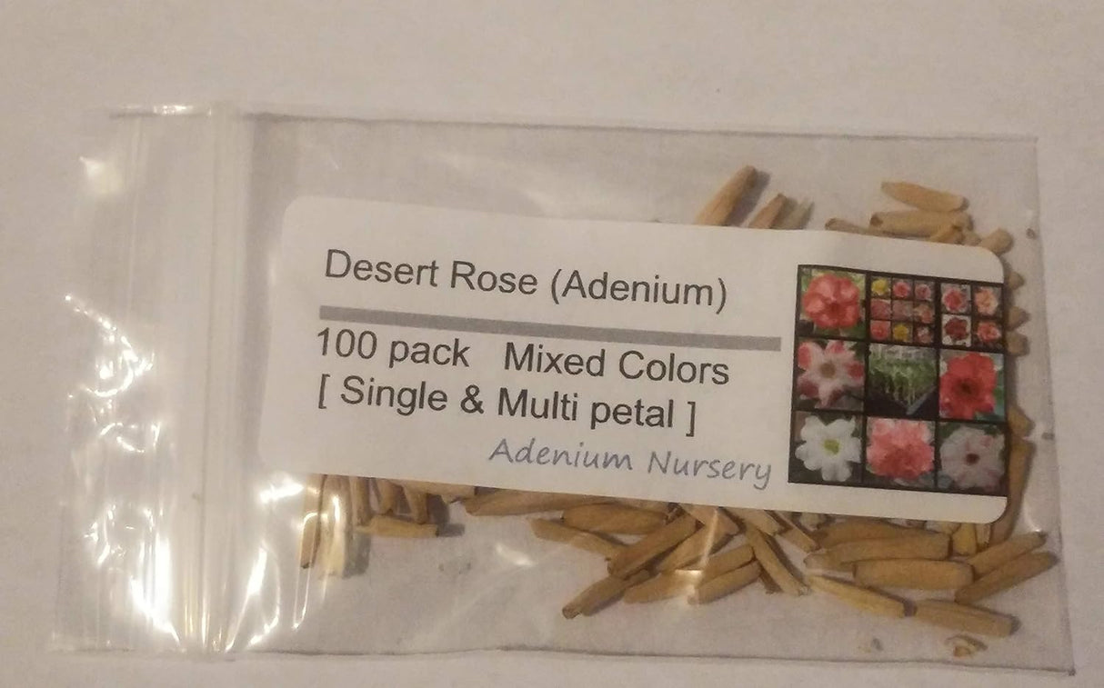 Semillas de Rosa del Desierto Adenium Obesum 100 Pack Mixto