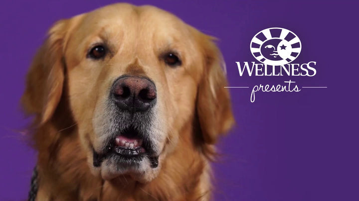 Bienestar Salud completa Alimento seco natural perro de raza