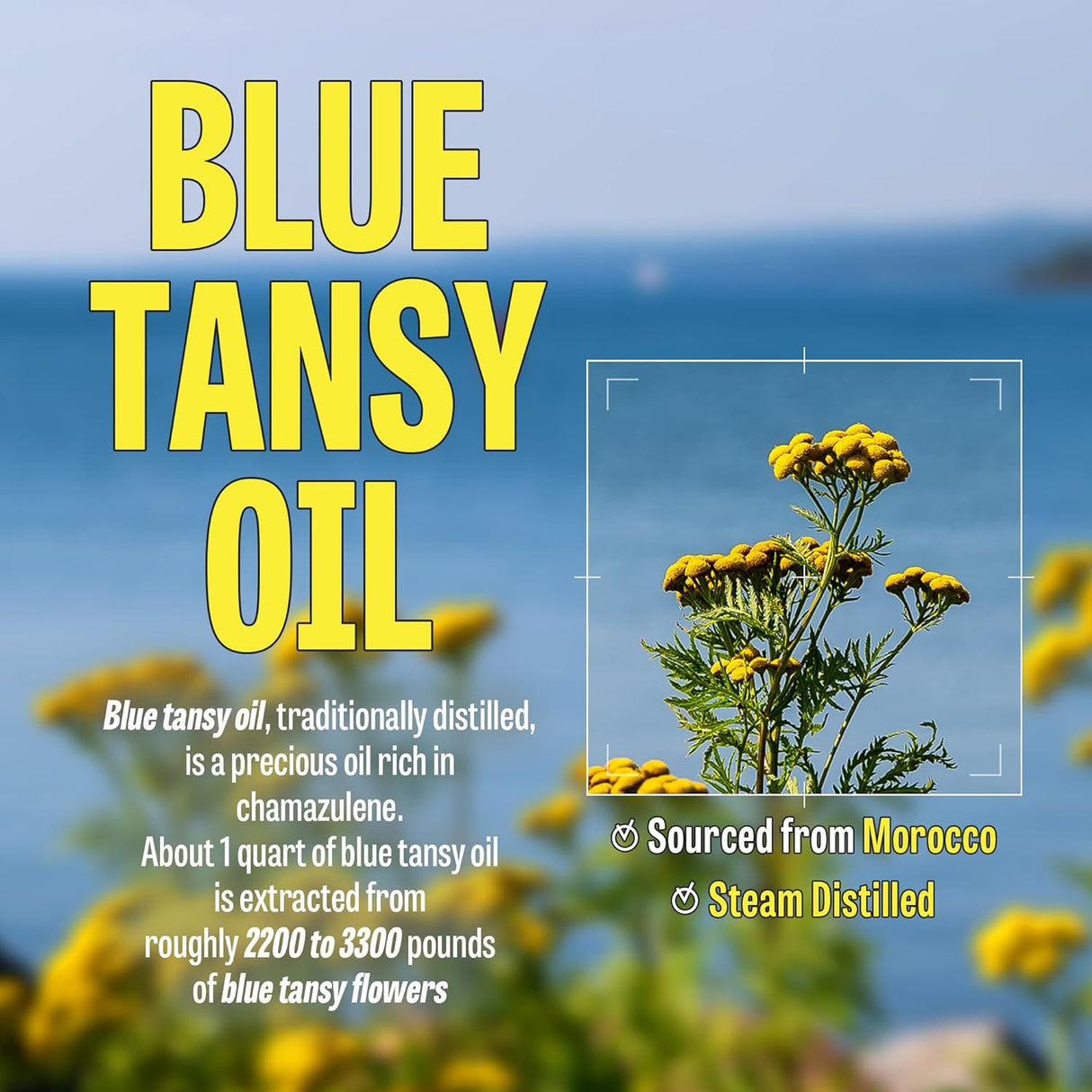 Aceite Limpiador Facial Coreano Hidratante para Piel Seca