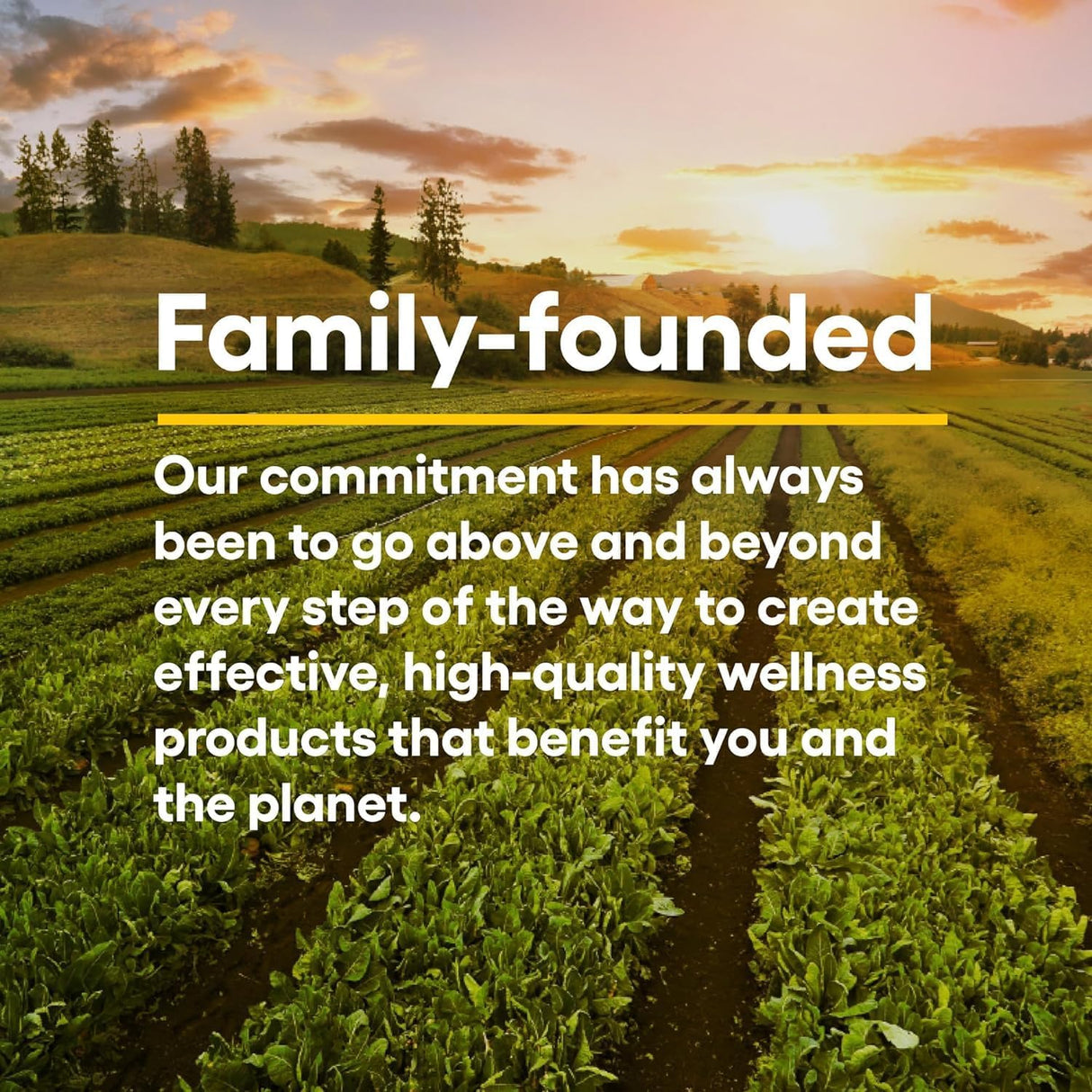 Vitamin C Masticable 500 mg, Natural Factors, 180 Wafers