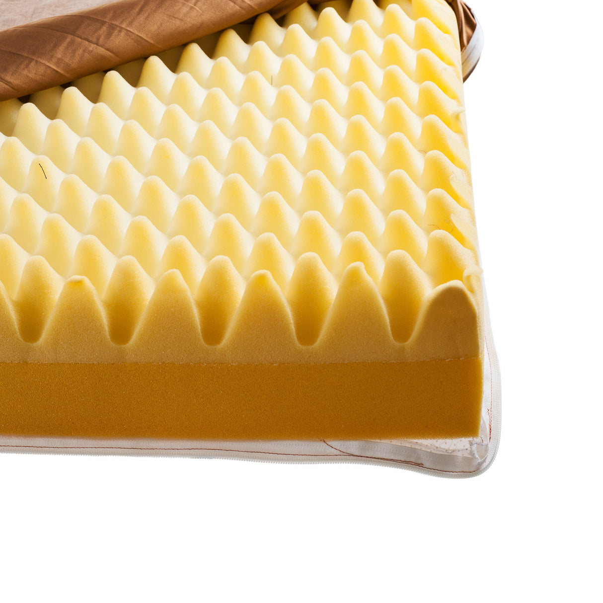 Cama para perros con espuma extraíble