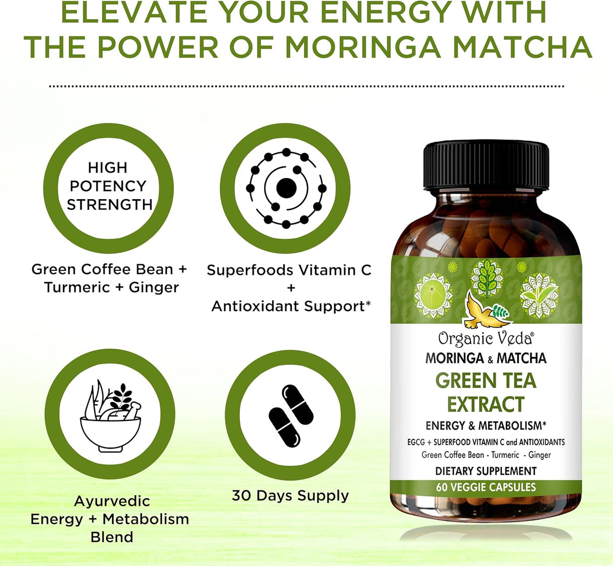 Suplemento de Té Verde Moringa y Matcha con ECGC y Cúrcuma